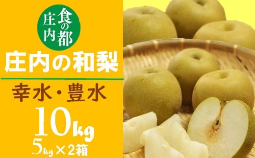 食の都庄内　庄内の和梨【幸水or豊水】約10kg※8月下旬ごろより順次配送