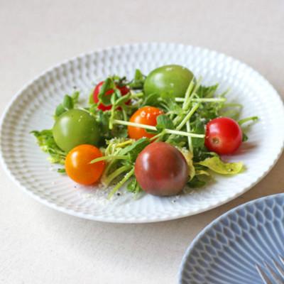 ふるさと納税 瑞浪市 【3色SET】美濃焼 さざなみ 20丸皿 19.7×2.7cm 520g 小田陶器 |  | 01