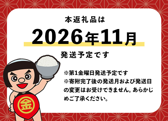 【2026年11月発送】精米 令和8年産 新米 コシヒカリ 厳選 特A 10kg 米 お米 令和8年産 白米 静岡県産 国産