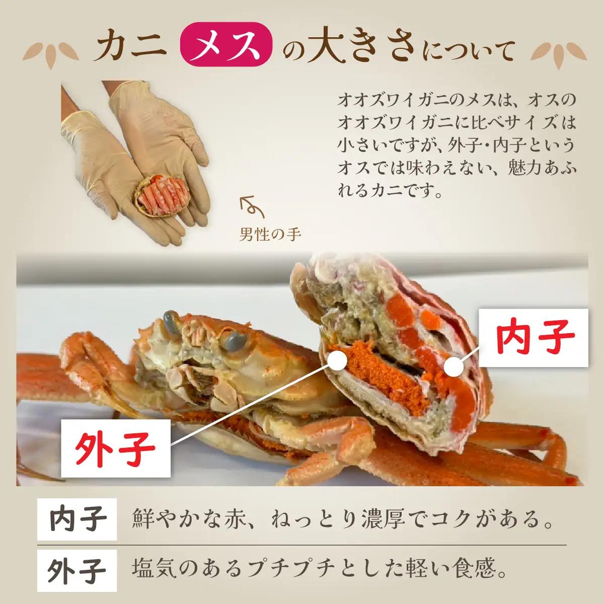 【訳あり】釜茹で 蟹好き集まれ！オオズワイガニ（メス）甲羅盛 2個セット [A-096035] / ズワイガニ