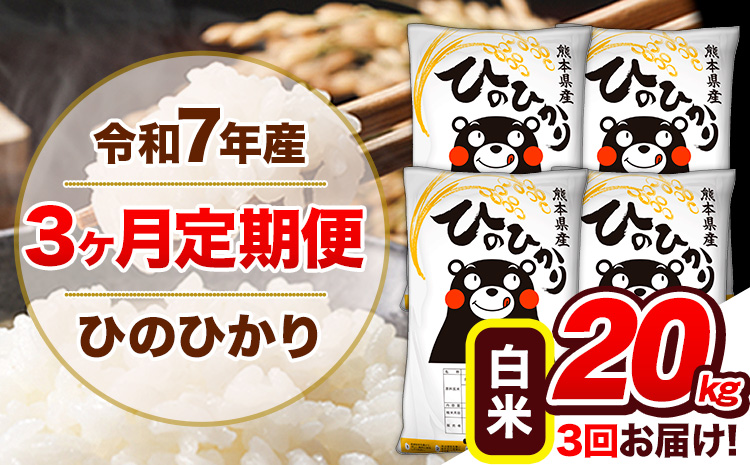 【3ヶ月定期便】令和7年産 定期便 ひのひかり 白米 20kg 《お申込み翌月から出荷開始》熊本県産 ふるさと納税 白米 精米 ひの 米 こめ ふるさとのうぜい ヒノヒカリ コメ 熊本米