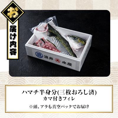 ふるさと納税 佐伯市 <先行予約受付中!2026年11月以降順次発送予定>豊後ハマチ 若武者(三枚おろし半身) |  | 01