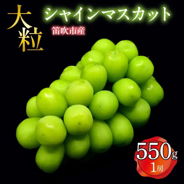 【2026年発送★先行予約】 笛吹市産 大粒シャインマスカット 550g以上(1房)  227-022-26y