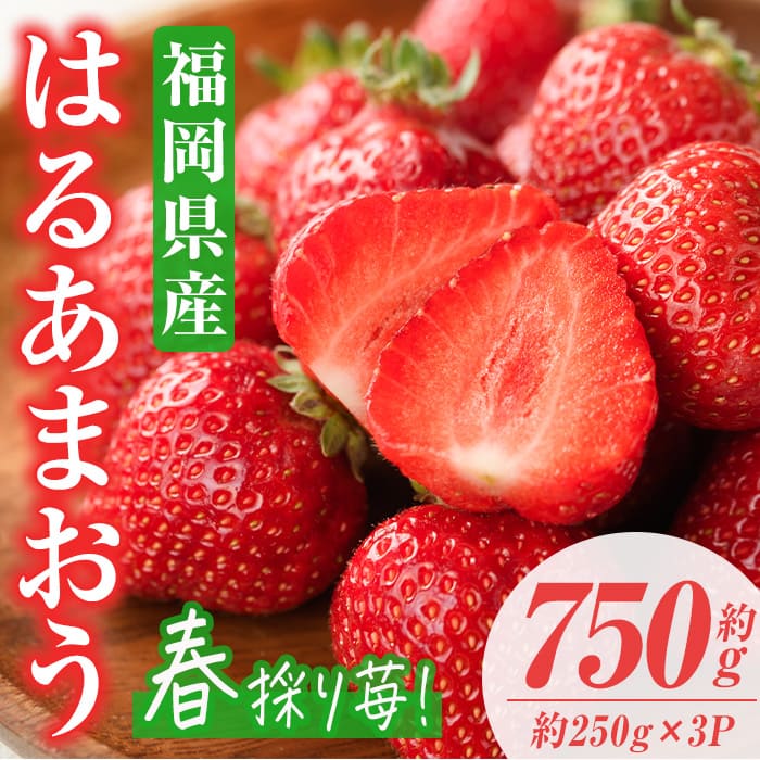 【ふるさと納税】＜先行予約受付中！2026年2月上旬～2026年3月末に順次発送＞はるあまおう(計約750g・約250g×3P)いちご 苺 フルーツ 果物 くだもの 福岡限定 家庭用 冷蔵 ＜離島配送不可＞【ksg0412】【南国フルーツ】