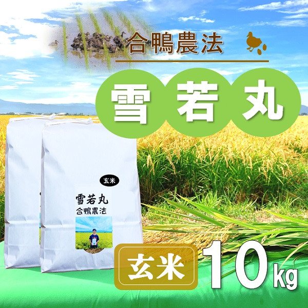 
            【玄米】ecofarmすがわらの合鴨農法雪若丸10kg（令和7年産新米予約） 
          