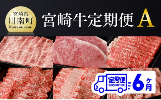 【定期便】宮崎牛６ヶ月定期便A 肉 牛 牛肉 黒毛和牛