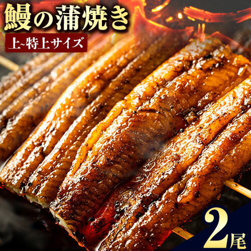 【ふるさと納税】徳島県産 うなぎの蒲焼き2尾 タレ・山椒付《30日以内に出荷予定(土日祝除く)》