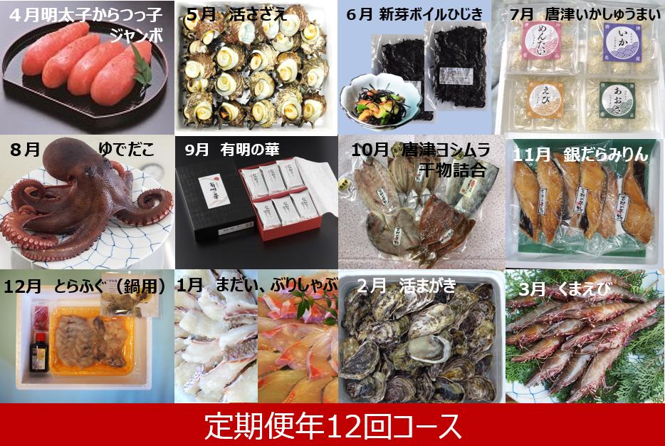 
                  【定期便セット】「佐賀の海の幸　定期便　年12回コース」（明太子、活さざえ、新芽ボイルひじき、いかしゅうまい４種詰合せ、ゆでまだこ、有明の華、干物詰合せ、銀だらみりん、とらふぐ、まだい・ぶりしゃぶ、活まがき、天然くまえび）
                