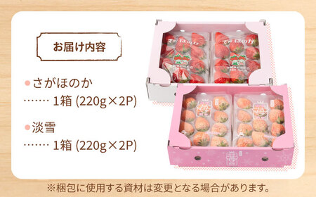 先行予約 2027年1月～発送 赤白いちご食べ比べセット！ /  いちご [IAP028]