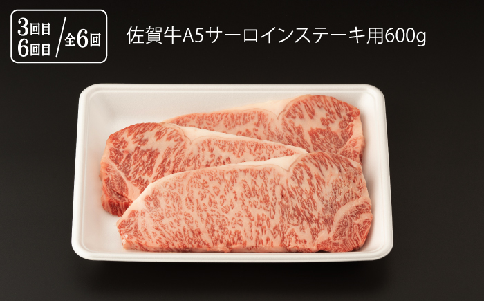 【6回定期便】 佐賀牛 厳選部位 堪能コース 総計 3.6kg【桑原畜産】 [NAB075] 肉 精肉 牛肉 佐賀牛 佐賀県産 黒毛和牛