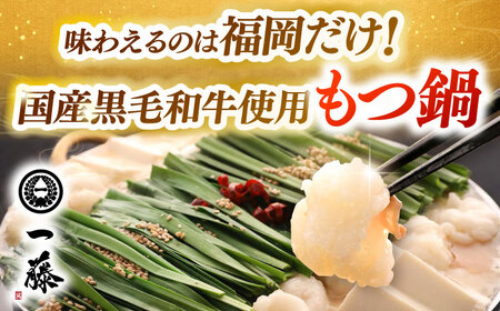 【全2回定期便】 【一藤】 もつ鍋味噌味 4〜6人前 × 博多華味鳥 水炊き 6〜8人前 [ABZY019]