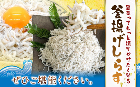 釜揚げしらす 小分け 大津港水揚げ しらす 1kg (茨城県共通返礼品：北茨城市) 川崎水産有限会社 《30日以内に出荷予定(土日祝除く)》釜揚げ 小分けパック 減塩 茨城県 河内町【配送不可地域あり