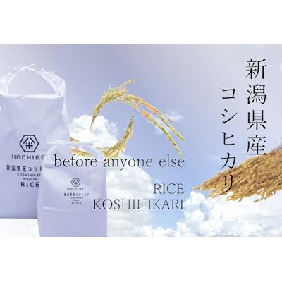 ふるさと納税 阿賀野市 【令和7年産】HACHIBEI 八米 はちみつ農法コシヒカリ 無洗米5kg
