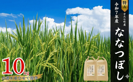 【特Aランク】令和7年産 北海道 せたな町産 ななつぼし 精米 10kg ふるさと納税