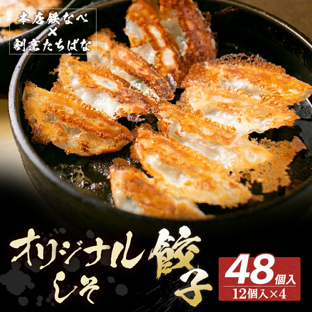【ふるさと納税】本店鉄なべ×割烹たちばな 餃子セット48個(オリジナル・しそ各24個) 一口 老舗 割烹 名店 ご当地グルメ 薄皮 送料無料