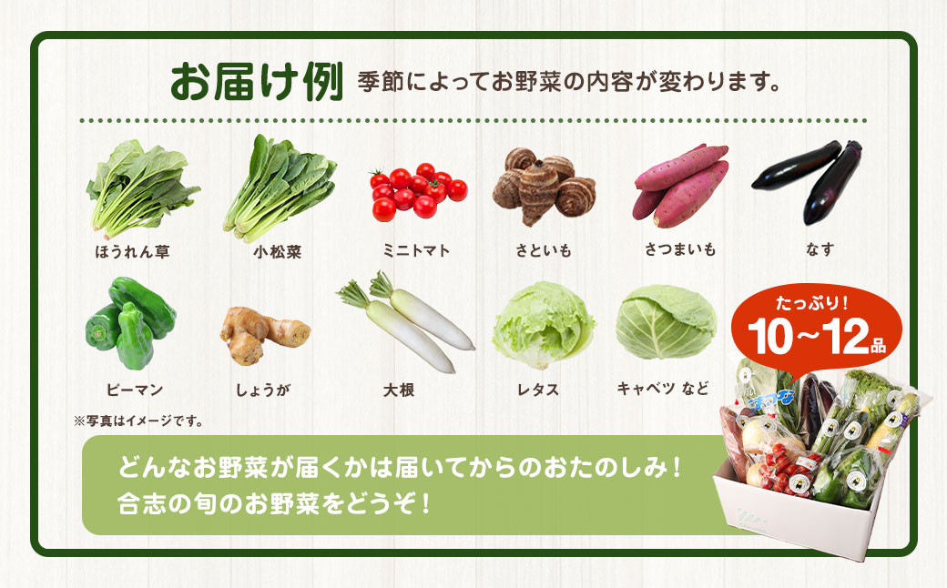 合志の旬の お野菜 セット 10～12品