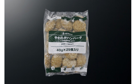 やわらかハンバーグ40g