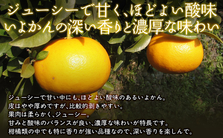 【栽培期間中農薬不使用】【先行受付】【数量限定】農園直送！愛媛県産 いよかん 5kg （2026年1月上旬頃より順次発送） IKTG015