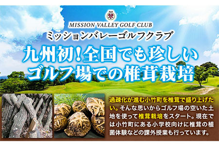 椎茸 生椎茸 しいたけ 天空茸 6個 《30日以内に出荷予定(土日祝除く)》アーマット福岡 有機栽培 きのこ 福岡県 小竹町 野菜 天ぷら 煮物 ミッションバレーゴルフクラブ