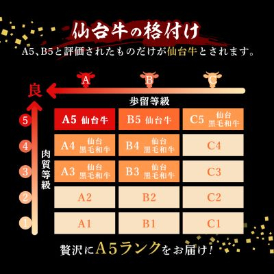 【A5仙台牛100%】プレミアムハンバーグ 140g×5(合計700g)【配送不可地域：離島】【1452931】