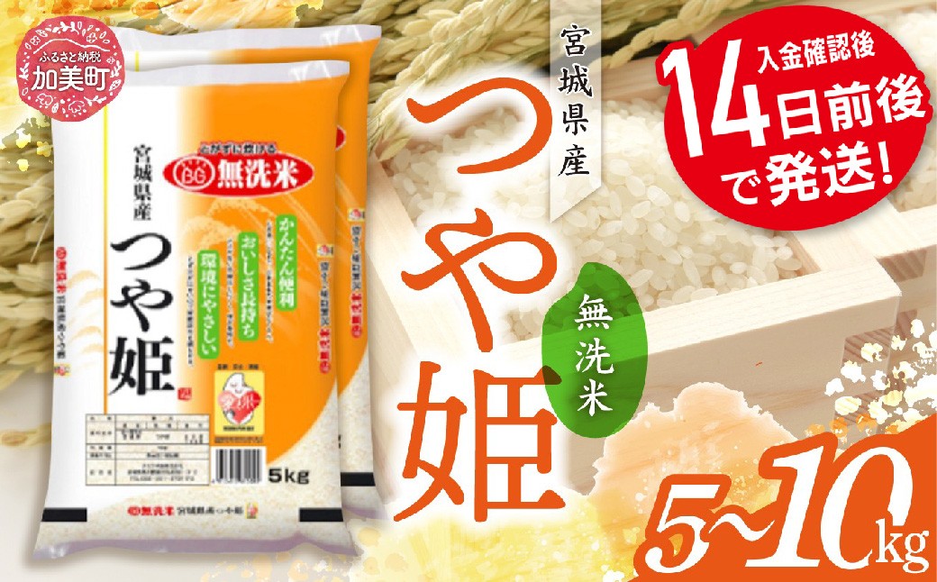 
            無洗米 つや姫 令和6年産 宮城県産 5kg ~ 10kg 【21000円 ~ 32000円】 [カメイ 宮城県 加美町 ] お米 こめ コメ 精米 白米 | km00019-r6
          