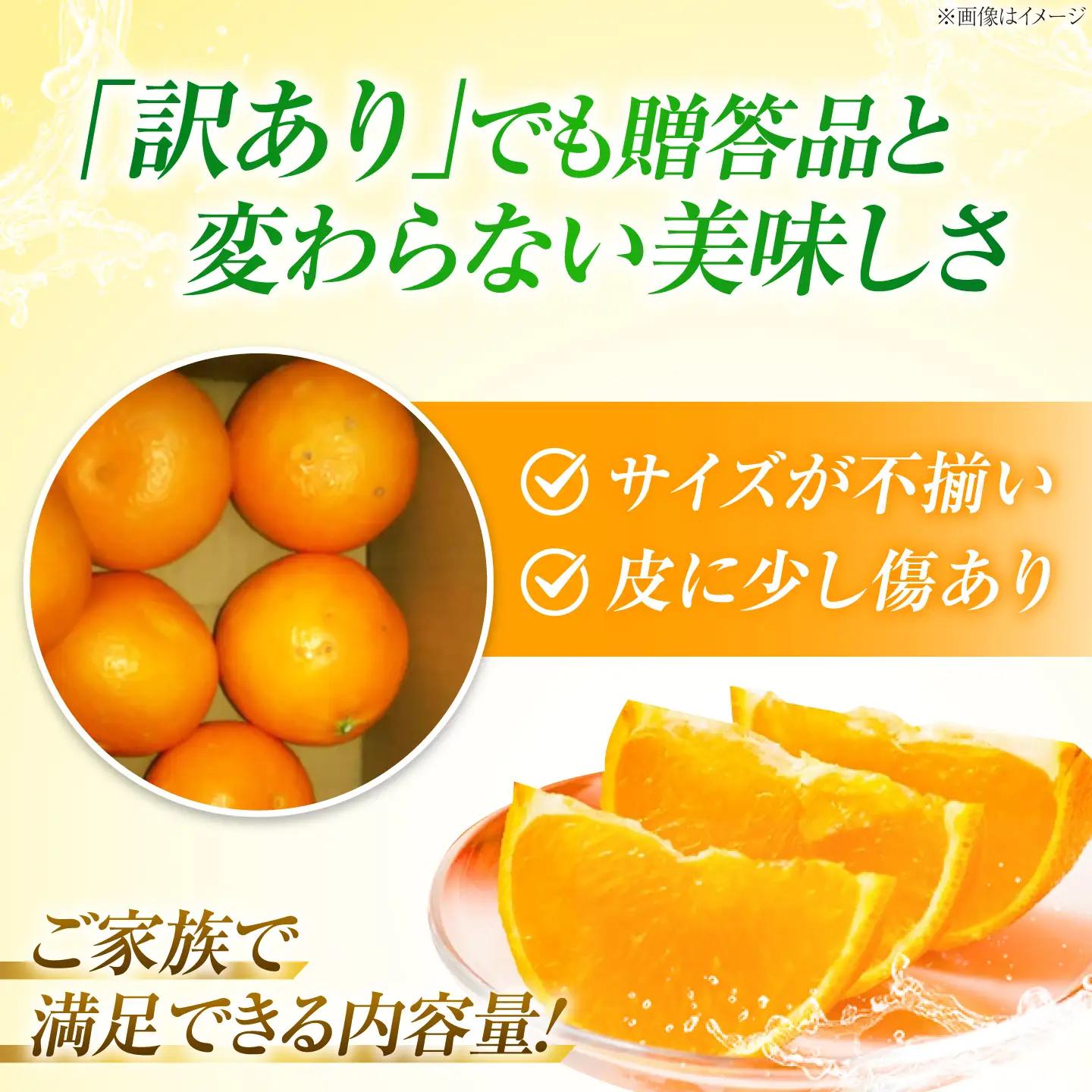 みかん 訳あり せとか 約3kg フルーツ 果物 みかん 訳あり BJBE002