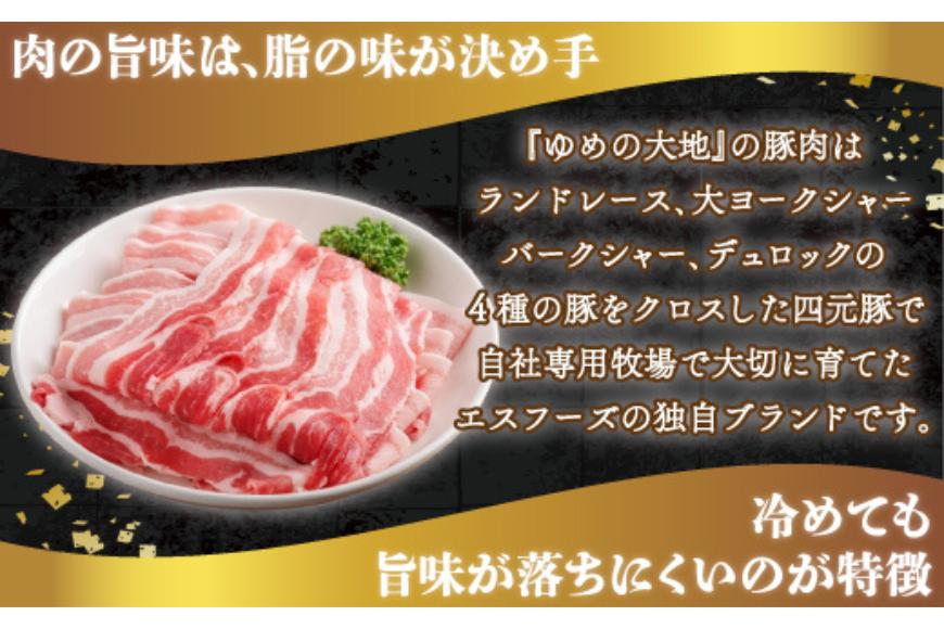 【平取町産四元豚】ゆめの大地豚バラスライス　200g×5パック計1ｋｇ BRTD008_イメージ2