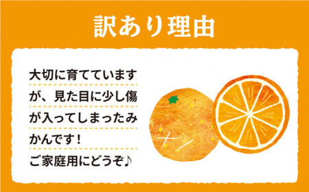 みかん 西海【 訳あり 】 石地みかん 約5kg 西海市 贈答 ギフト 家庭用  ＜中尾果樹園＞ [CEL006]