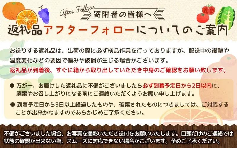 せとか 前地農園のせとか M-2L 5kg ご家庭用【mmd003C】
