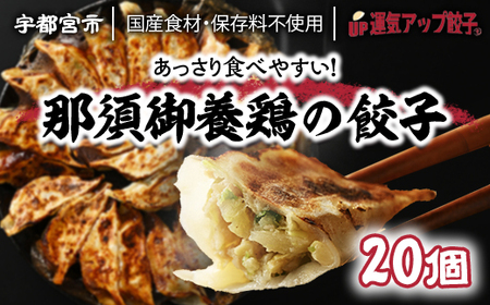 宇都宮餃子 運気アップ餃子  鶏餃子 3種類味比べ(合計60個)【 餃子 食べ比べセット 冷凍餃子 冷凍食品 惣菜 栃木県 宇都宮市 】※配送不可地域：離島