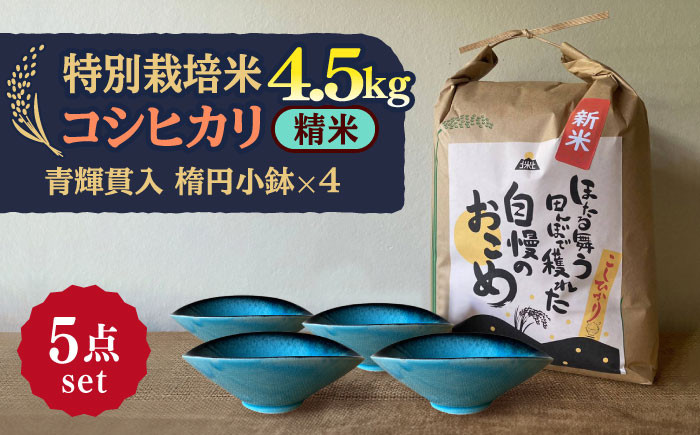 
            【令和7年産】 精米 コシヒカリ 特別栽培米 （4.5kg） + 【美濃焼】 青輝貫入 楕円小鉢 （4枚） 多治見市 / 山松加藤松治郎商店 [TEU043]
          