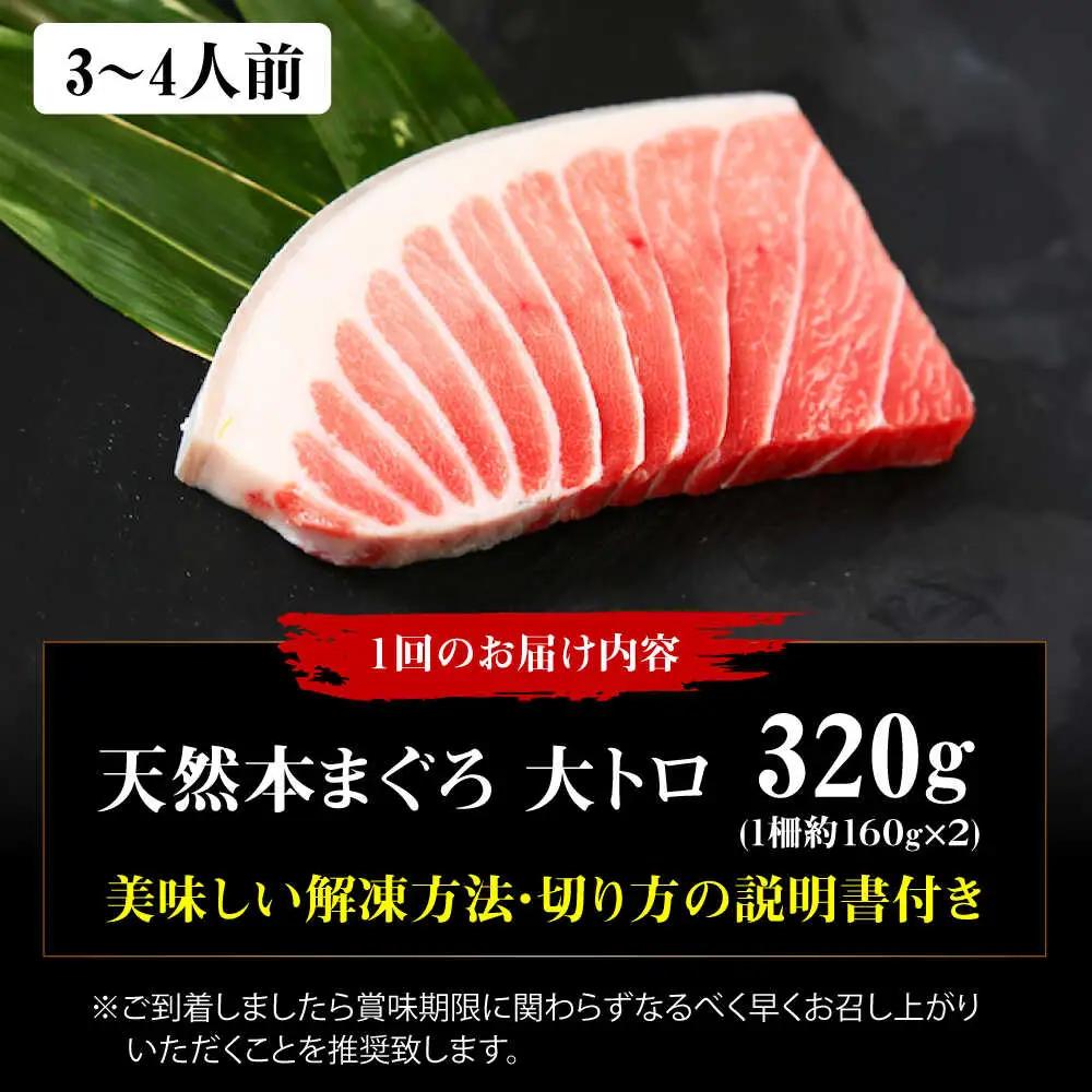 【全6回定期便】たね熟天然本まぐろ大トロ(320g)[AOCE023]マグロ