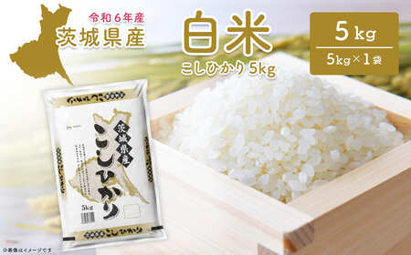 【令和6年産/白米】 ＜令和8年1月内発送＞  コシヒカリ 5kg 茨城県産 K2657