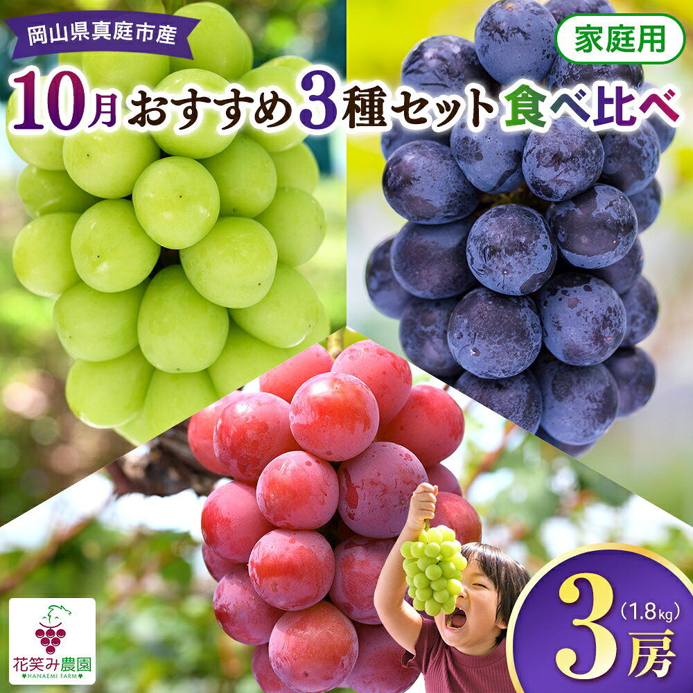 【ふるさと納税】 ぶどう 3種セット 1.8kg(3房) 家庭用 【2026年10月順次発送】 先行予約 ぶどう 食べ比べ 葡萄 果物 くだもの シャインマスカット ピオーネ 産地直送 農家直送 フルーツ 葡萄 果物 贈答 ギフト 詰め合わせ セット 人気 期間限定 数量限定