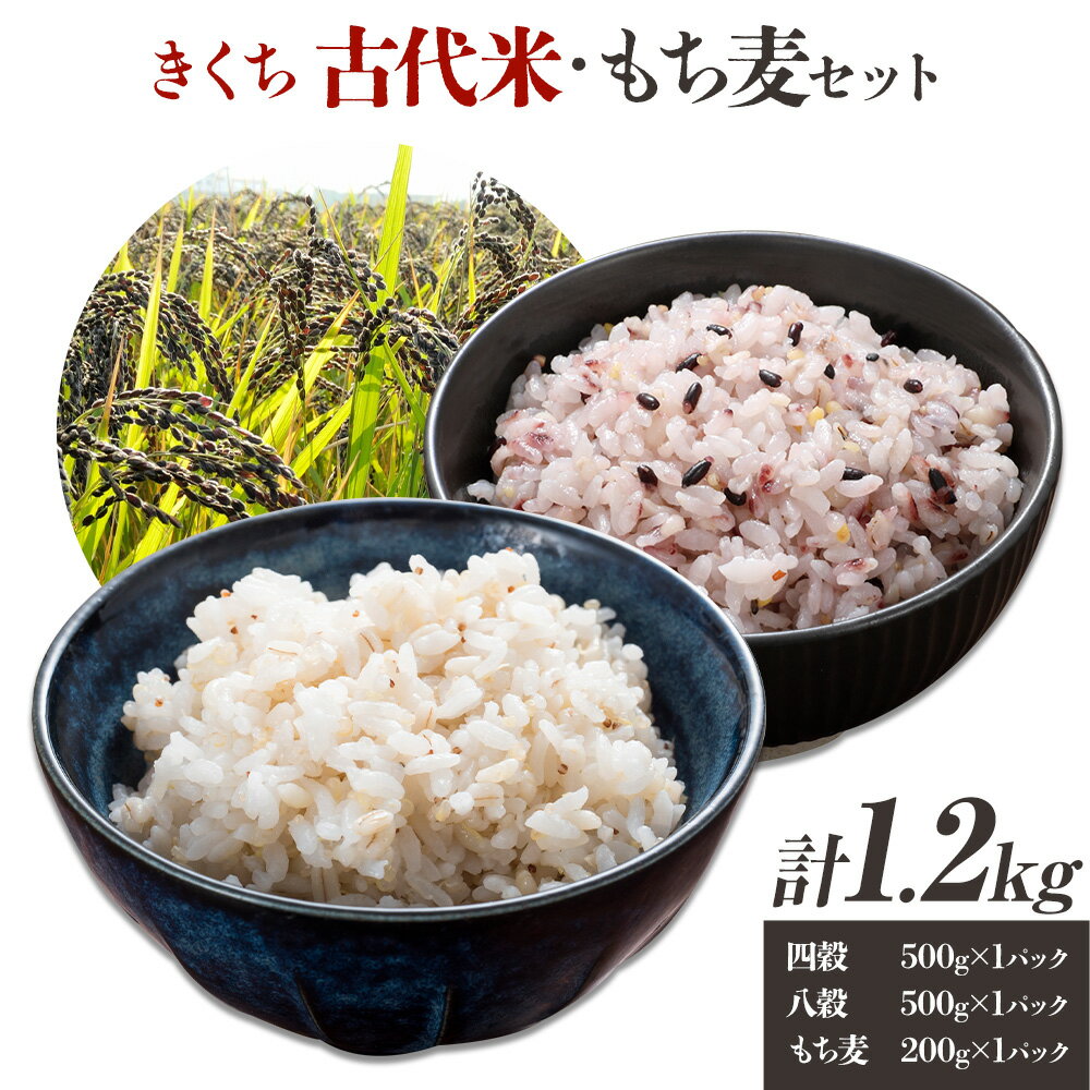 【ふるさと納税】きくち古代米・もち麦 セットA【ファームきくち】 四穀 八穀 500g×1パック もち麦 200g×1パック セット 有限会社七城町特産品センター《90日以内に出荷予定(土日祝除く)》熊本県 菊池市 雑穀米 お米 米 もち麦 菊池市産 熊本県産 九州産