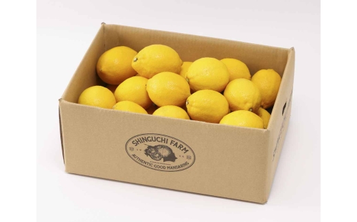 ＜皮まで食べられる＞愛媛育ちのレモン 5kg 防腐剤・ワックス不使用＜D70-21＞【1470690】 YWTK021