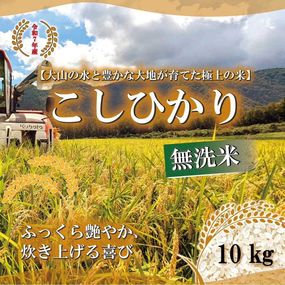【ふるさと納税】令和7年産　山崎農園こしひかり無洗米 10kg | コシヒカリ 無洗米 米 お米 こめ コメ ごはん ご飯 白米