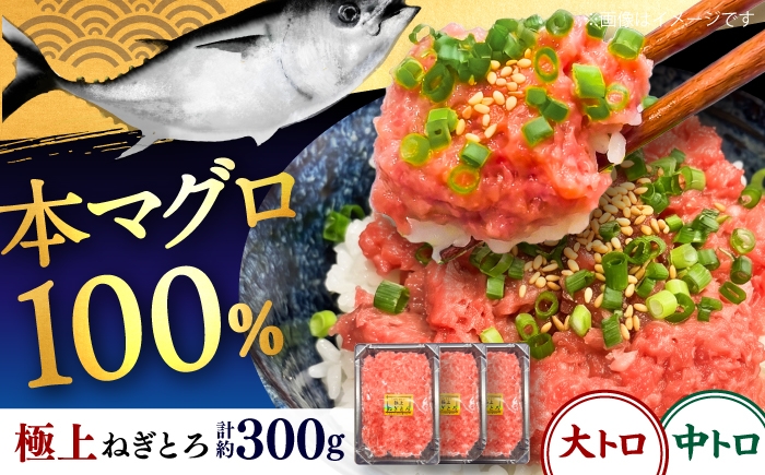 
                  本マグロ100％ 極上ねぎとろ 約100g×3個セット ねぎとろ まぐろ 鮪 マグロ 本まぐろ マグロのたたき 【竜海丸】 [AKIL002]
                