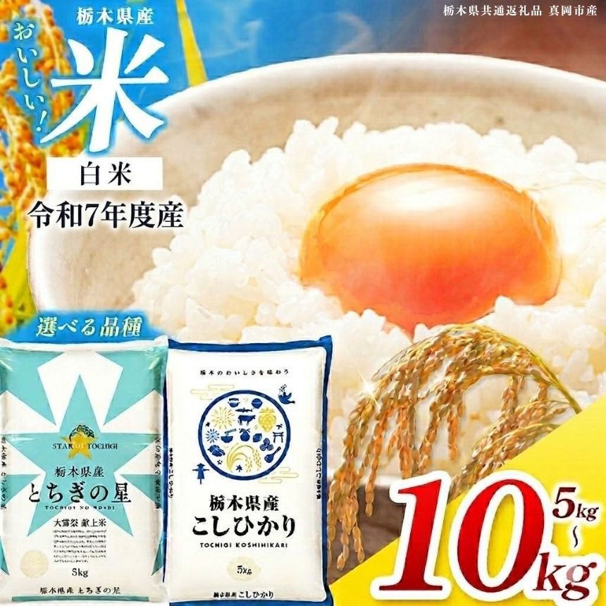 【ふるさと納税】 米 お米 限定 令和7年度産 人気 選べる こめ 栃木県共通返礼品 コシヒカリ こしひかり とちぎの星 精米 美味しい 白米 数量限定 栃木県産 | 送料無料 栃木県 那珂川町 期間限定