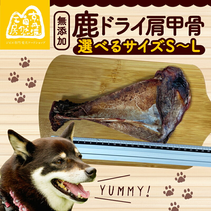 【ふるさと納税】 鹿ドライ肩甲骨 1本 選べるサイズ ペット用品 ペットグッズ ペットフード ドッグフード 無添加 肩甲骨 ボーン 歯 健康 国産 ストレス解消 ジビエ 鹿 鹿肉 わんちゃん ペット用品 犬用 ご褒美 おやつ 超小型犬 大型犬 中型犬 犬 イヌ いぬ 京都府 京丹波町
