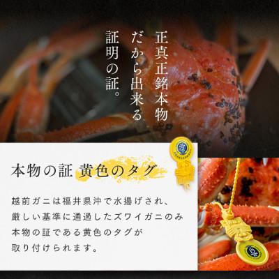 ふるさと納税 若狭町 訳あり茹で越前ガニ　500g以上×2杯(脚折れ) |  | 02