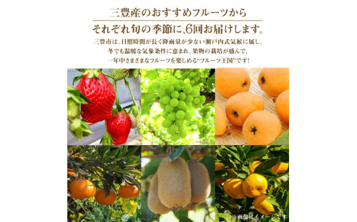 M02-0210_【ふるさと納税】【配送不可地域：北海道・沖縄県・離島】フルーツ王国 みとよ 特選 こだわり 6品 定期便 定期 旬の時期 旬 果物 フルーツ 果実 旬 デザート 食べごろ みかん い
