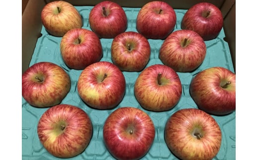 【先行予約】葉とらずふじりんご10kg 家庭用