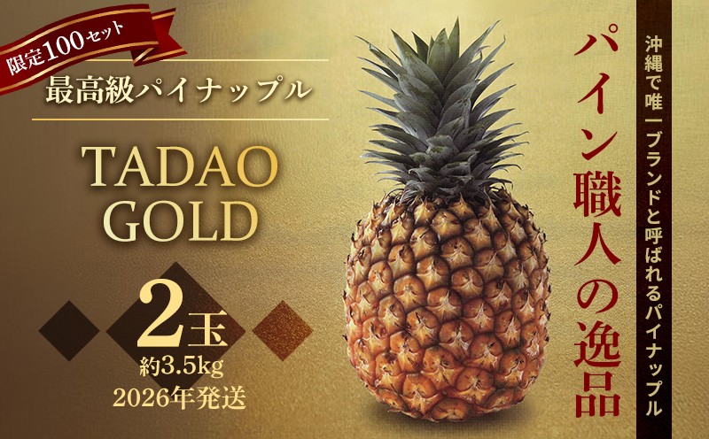 
            【贈答用：限定100セット】TADAO GOLD【ゴールドバレル】（2玉） ゴールドバレル タダオゴールド ただおごーるど 希少 最高級 沖縄県 東村 パインアップル 贈答用 贈り物 パイン 入手困難 高級フルーツ 玉城忠男 たまきただお トロピカル 糖度 甘い パイナップル 玉城農園
          