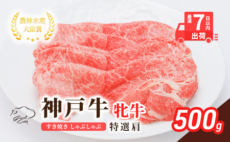 神戸ビーフ 神戸牛 特選肩 神戸ビーフ【500g】【冷凍】