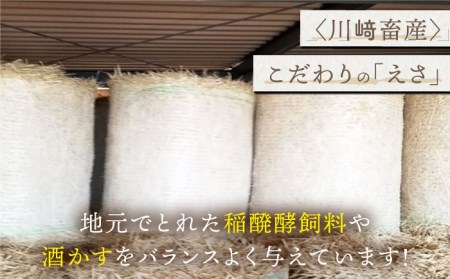 【贅沢な味わい】牧場直営店の黒毛和牛ロースステーキ（800g）【川崎畜産】 [IAX007]