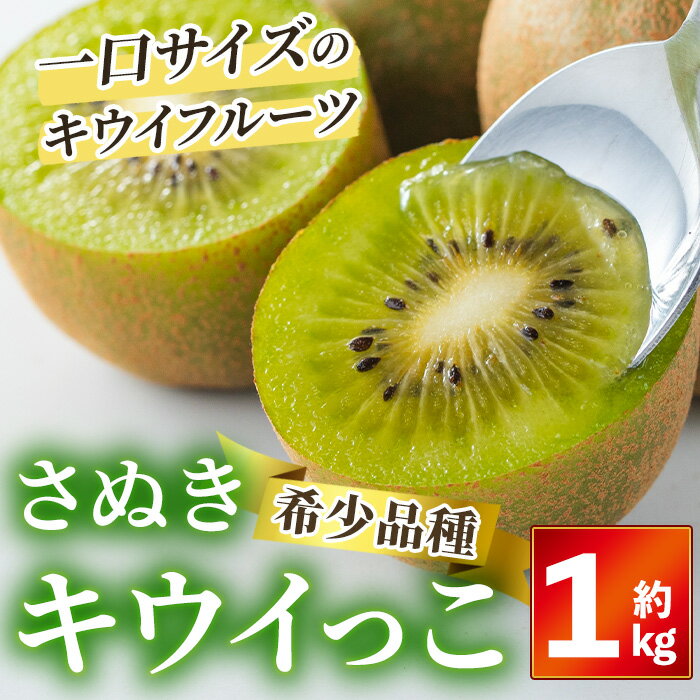 【ふるさと納税】＜先行予約！2025年11月中旬以降順次発送予定＞ さぬきキウイっこ (約1kg) キウイ キウイっこ ブランド フルーツ 産地直送 新鮮 香川 香川県 特産 果物 ふるーつ 旬 人気 お取り寄せ【Aglio nero】【man179】