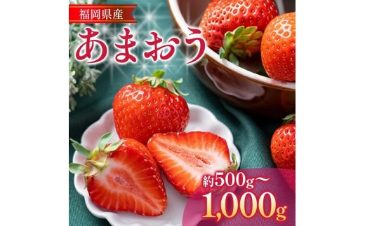 
                  福岡産【冬】あまおう 量が選べる 約500g 約1000g いちご 苺 九州産 福岡県産 冷蔵 送料無料 【2026年12月上旬から2027年1月末にかけて順次発送】 イチゴ フルーツ 果物 くだもの ※北海道・沖縄・離島は配送不可 大木町産 南国 フルーツCO001 CO002
                