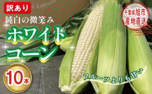 【先行予約】 訳あり 白 とうもろこし 10本 ホワイトコーン 2025年7月下旬～発送開始予定 数量限定 期間限定 ジューシー 甘い シャキシャキ 白い トウモロコシ コーン 白いとうもろこし 旬 野菜 夏野菜 冷蔵発送 送料無料 産地直送 千葉県 旭市 stf006