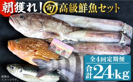 【4回定期便】高級鮮魚6kg[PDP007]  魚 鮮魚 セット 海鮮 直送 さかな 詰合せ 冷蔵 定期
